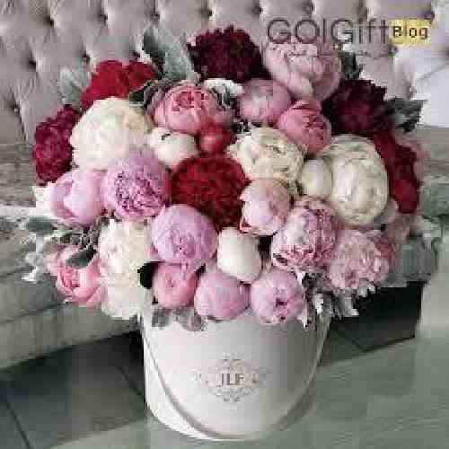 دانلود آهنگ نوی تپی برشنا امیل